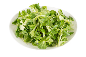 watercress salad