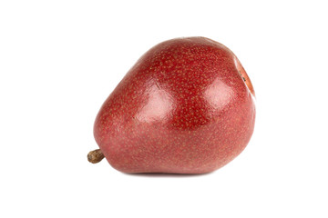 d'Anjou pear