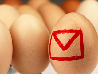 Email symbol drawn on the egg.