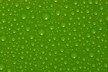 Fototapeta na wymiar green drops