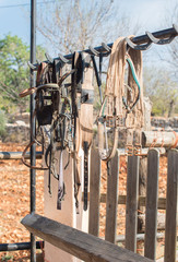 Horse bridles and other equipment in the stable.
