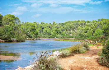Fototapeta na wymiar View of tropical landscape with pond.