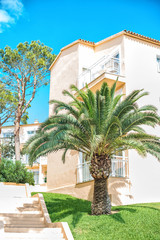 Fototapeta premium Portrait of tropical apartment building with trees.