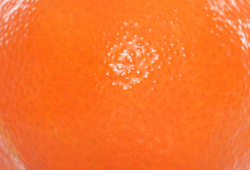 clementine fruit abstract