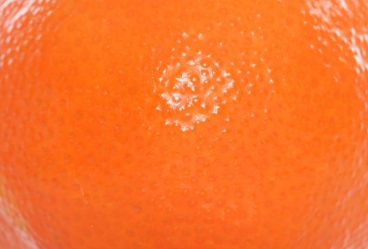 Clementine Fruit Abstract