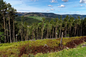 Obraz premium Paysage de montagne