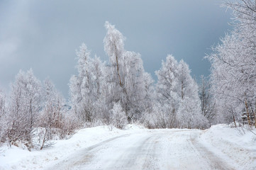 Frosty winter landscape