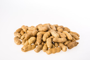 peanut on white background