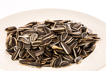 sun flower seed on white background