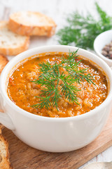 tomato soup with rice and vegetables in a saucepan, close-up