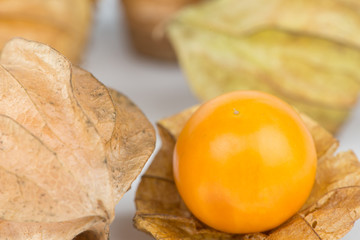 Crape gooseberry on white background