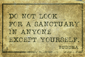 sanctuary in anyone