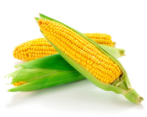 corn