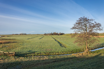 Fototapeta premium Dutch landscape