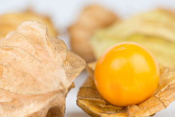Crape gooseberry on white background