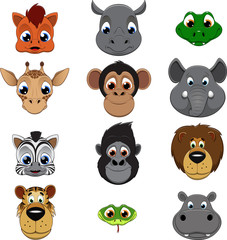 Collection of animals