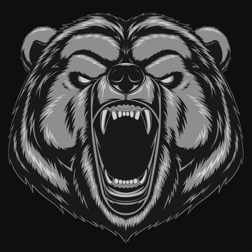 Angry bear head mascot