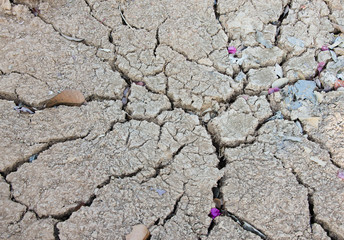 Dry cracked earth background