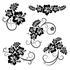 Set of hibiscus flourish decorative design elements - obrazy, fototapety, plakaty
