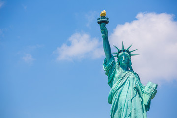 Fototapeta premium Statue of Liberty New York American Symbol US
