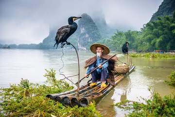 Chinese Cormorant Fisherman