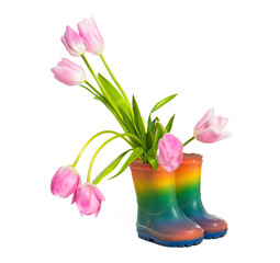 Tulip flowers in rubber boots
