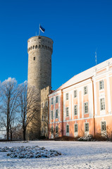 View of the tower Long Herman and the parliament building in Tal