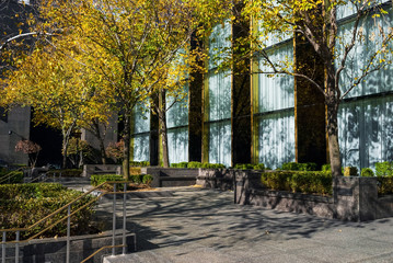 Autumn Office Building