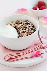 Whole grain muesli  with chocolate chips and yogurt .
