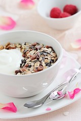 Whole grain muesli with chocolate chips and yogurt .