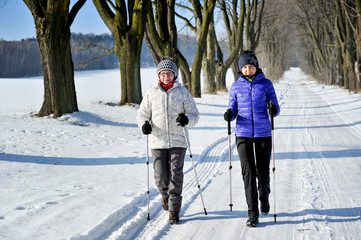 Nordic walking - 77956483