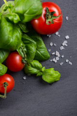 Tomatoes and basil on black background