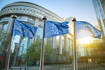 Vlag van de Europese Unie tegen parlement in Brussel