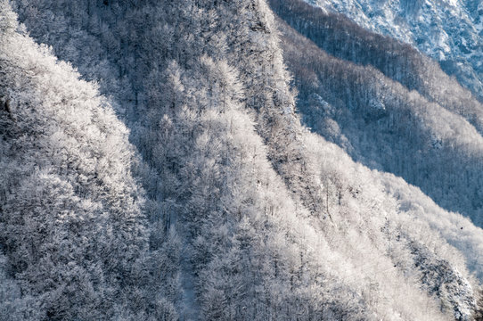 Fototapeta Val Cellina