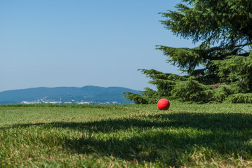 golf course on the lake