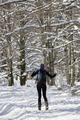 A woman cross-country skiing