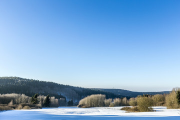 snow covered branches of a tree under blue sky