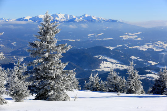 Fototapeta Winter scene in mountains