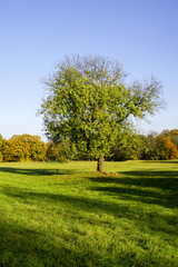 Obraz premium Herbst