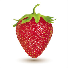 Strawberry isolated on white. Vector