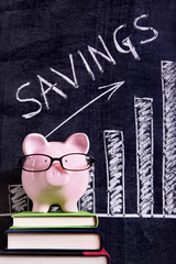 Piggy Bank piggybank wearing glasses with savings plan message and chart written on a blackboard or...