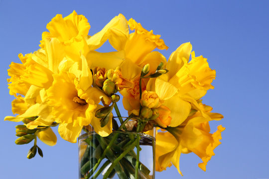 Fr&uuml;hlingsstrau&szlig; vor blauem Himmel