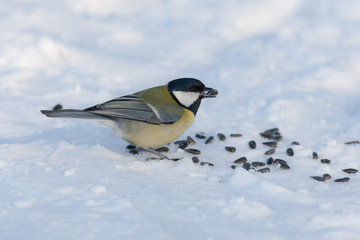 winter dinner