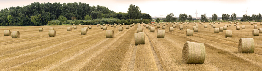 Strohballen auf gem&auml;htem Acker 00247