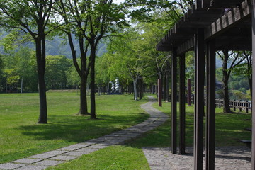 公園風景