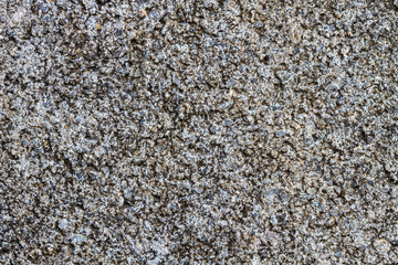 Concrete block texture