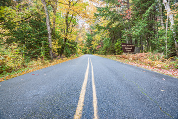 Obraz premium road through White Mountain Forest, New Engalnd