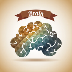 creative brain
