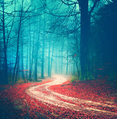 Obrazy na Szkle  Magiczna droga leśna w stylu vintage