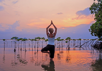 Woman practicing yoga on the beach near  mangroves